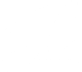 Stubborn Girl Creative